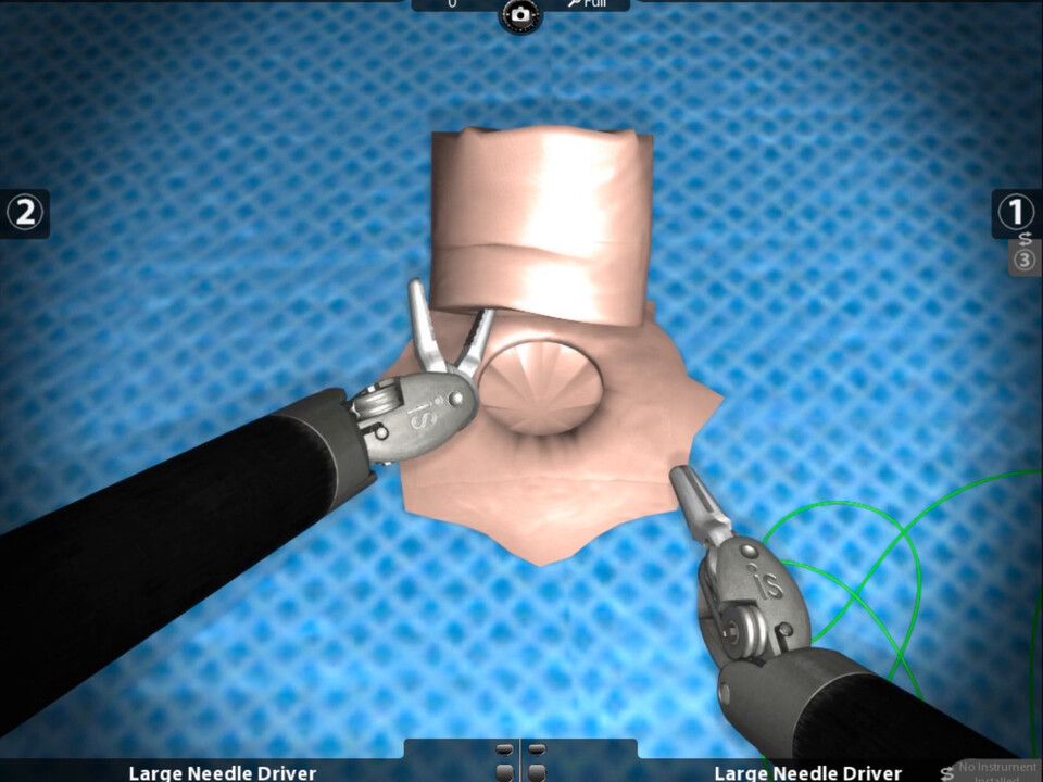 Video: two needle drivers grasping and denting a deformable tube of tissue on a blue drape