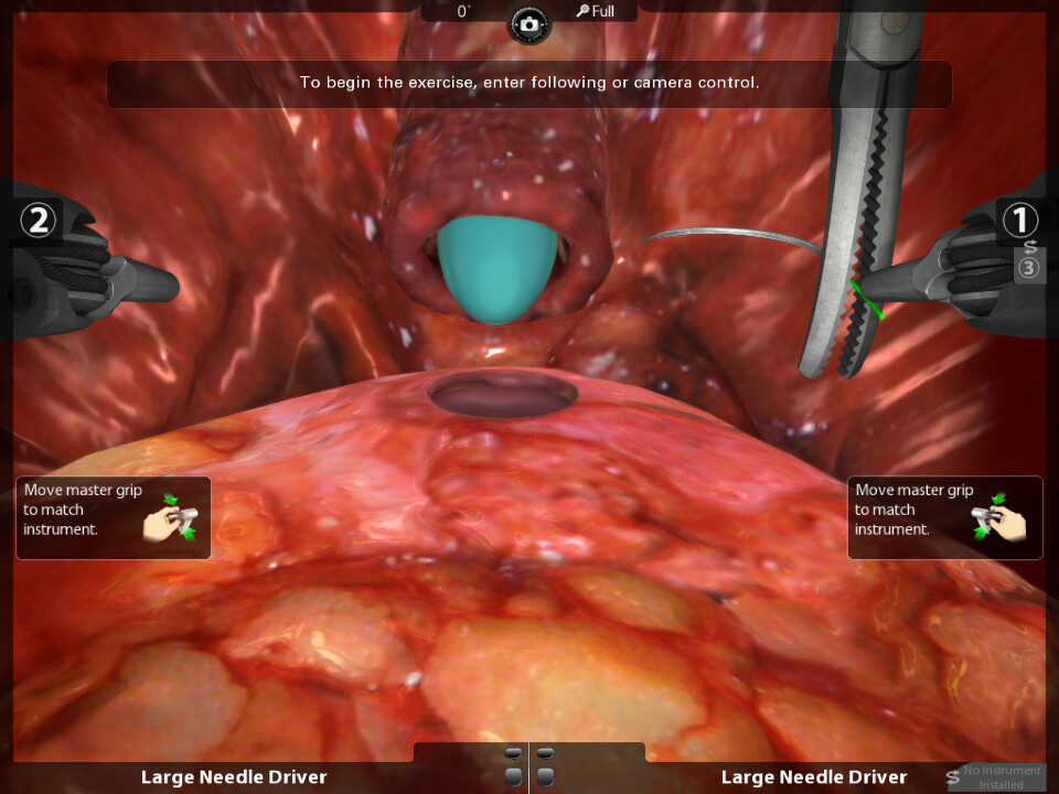 Start of the suturing exercise: the deformable organs in place, with prompts to take control of the instruments